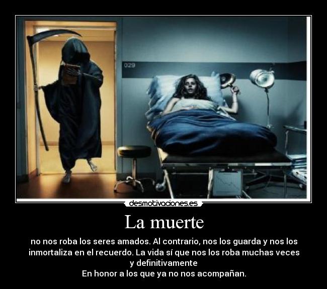carteles muerte muerte seres amados desmotivaciones
