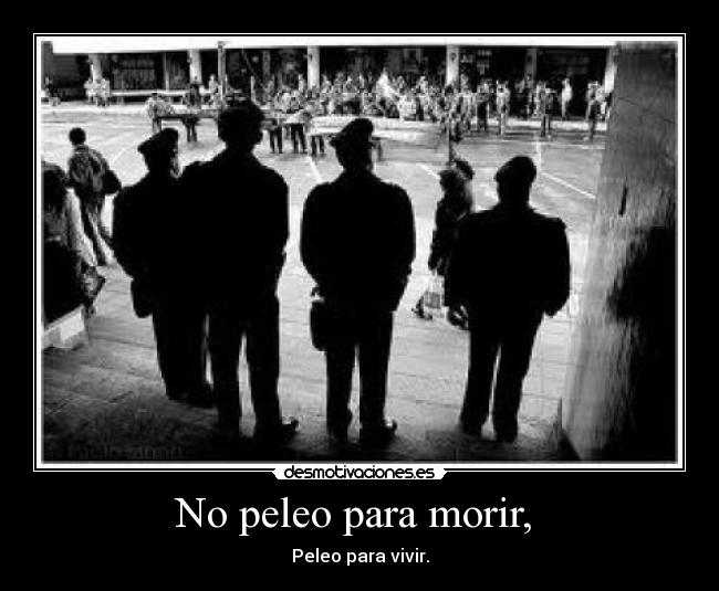 No peleo para morir, - Peleo para vivir.
