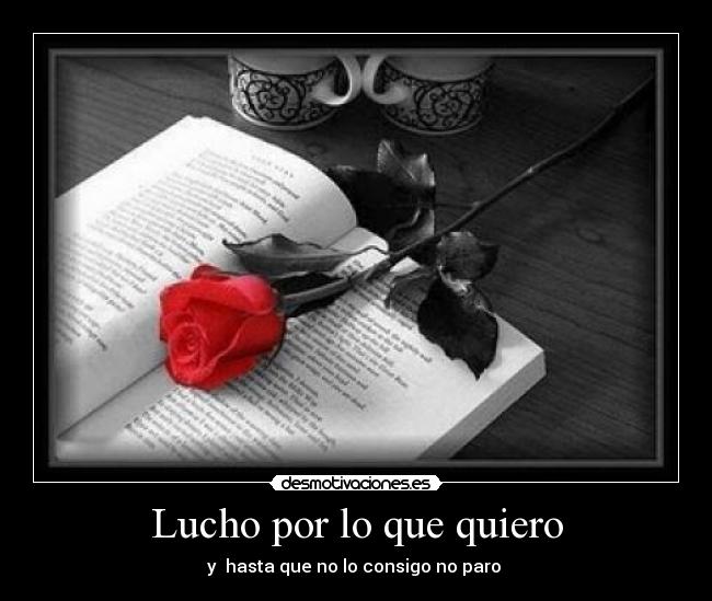 Lucho por lo que quiero - y hasta que no lo consigo no paro