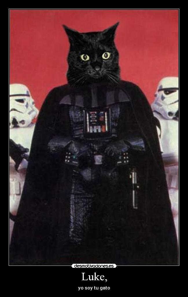 Luke, - yo soy tu gato