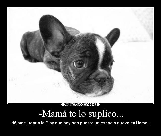 -Mamá te lo suplico... -