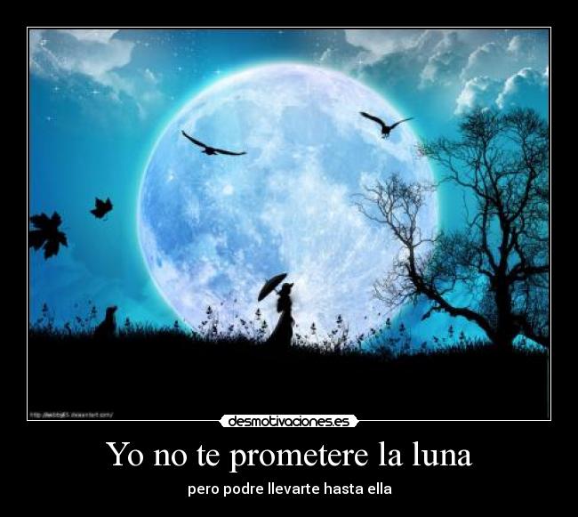 Yo no te prometere la luna - pero podre llevarte hasta ella