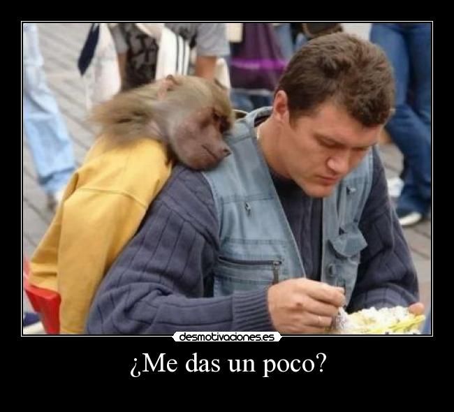 carteles macaco mono comida hambre desmotivaciones