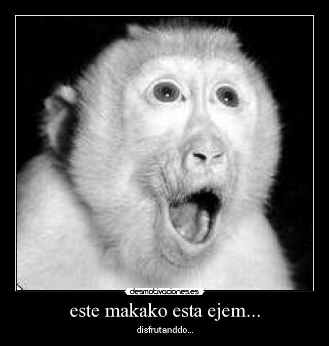 este makako esta ejem... -