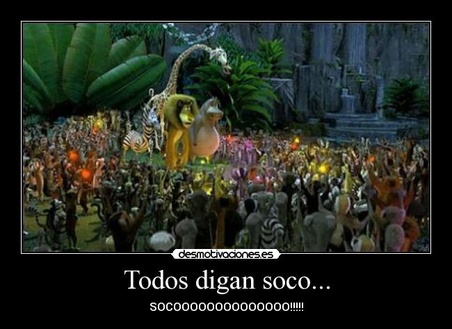 Todos digan soco... -