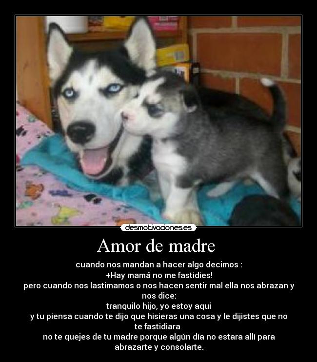 Amor de madre  - 