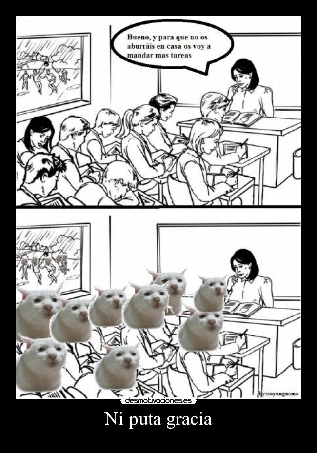 Ni puta gracia - 