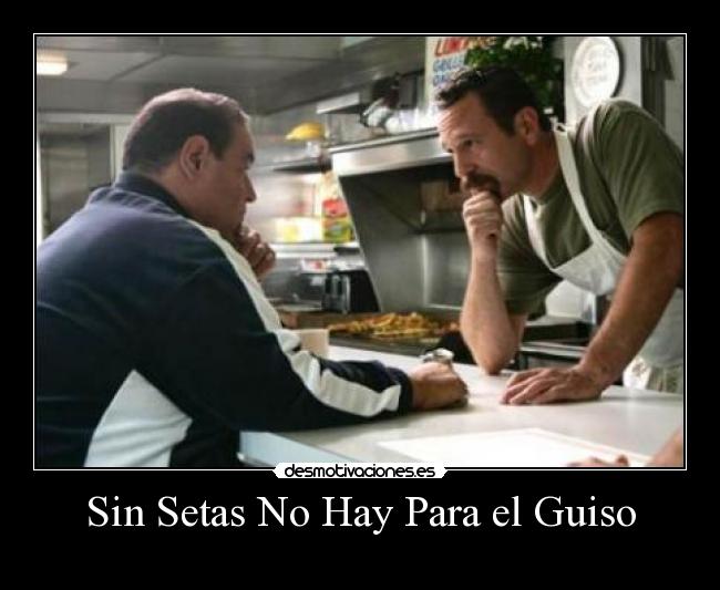 Sin Setas No Hay Para el Guiso -