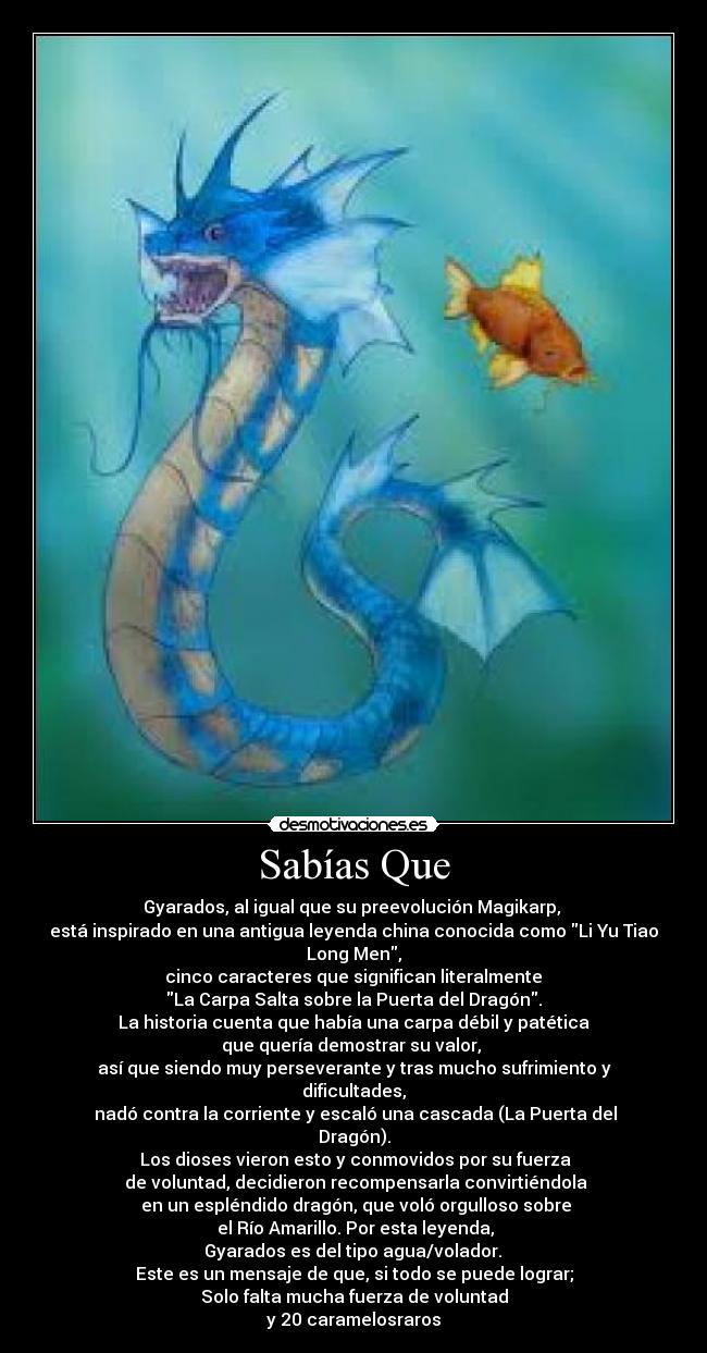 Sabías Que - Gyarados, al igual que su preevolución Magikarp, 
está inspirado en una antigua leyenda china conocida como Li Yu Tiao Long Men,
 cinco caracteres que significan literalmente 
La Carpa Salta sobre la Puerta del Dragón.
 La historia cuenta que había una carpa débil y patética 
que quería demostrar su valor, 
así que siendo muy perseverante y tras mucho sufrimiento y dificultades,
 nadó contra la corriente y escaló una cascada (La Puerta del Dragón).
 Los dioses vieron esto y conmovidos por su fuerza
 de voluntad, decidieron recompensarla convirtiéndola
 en un espléndido dragón, que voló orgulloso sobre
 el Río Amarillo. Por esta leyenda,
 Gyarados es del tipo agua/volador. 
Este es un mensaje de que, si todo se puede lograr;
Solo falta mucha fuerza de voluntad
y 20 caramelosraros