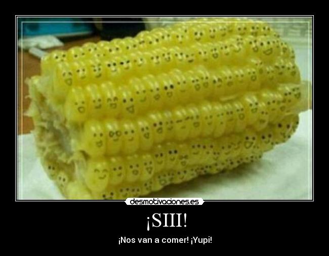 carteles cosas curiosas desmotivaciones