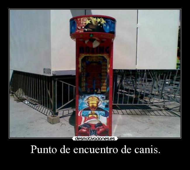 Punto de encuentro de canis. - 