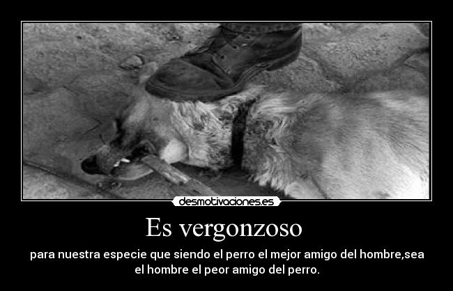 Es vergonzoso  - para nuestra especie que siendo el perro el mejor amigo del hombre,sea
el hombre el peor amigo del perro.