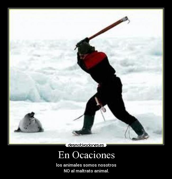 En Ocaciones - 