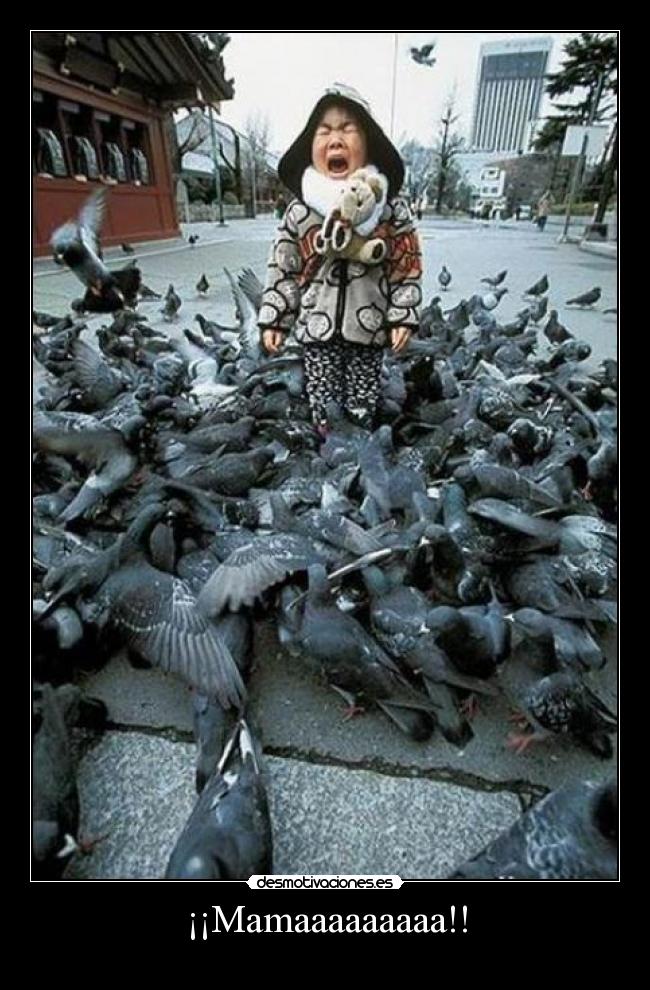 ¡¡Mamaaaaaaaaa!! -
