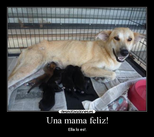 Una mama feliz! -