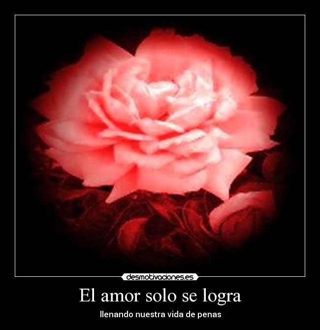 El amor solo se logra - llenando nuestra vida de penas