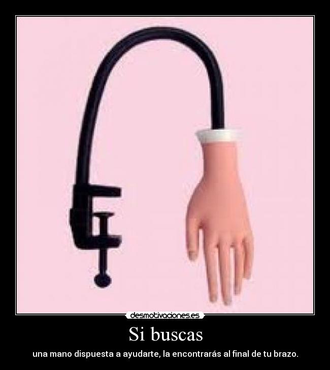 Si buscas - 