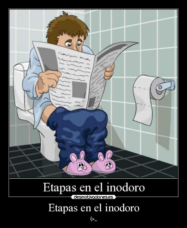 Etapas en el inodoro - 