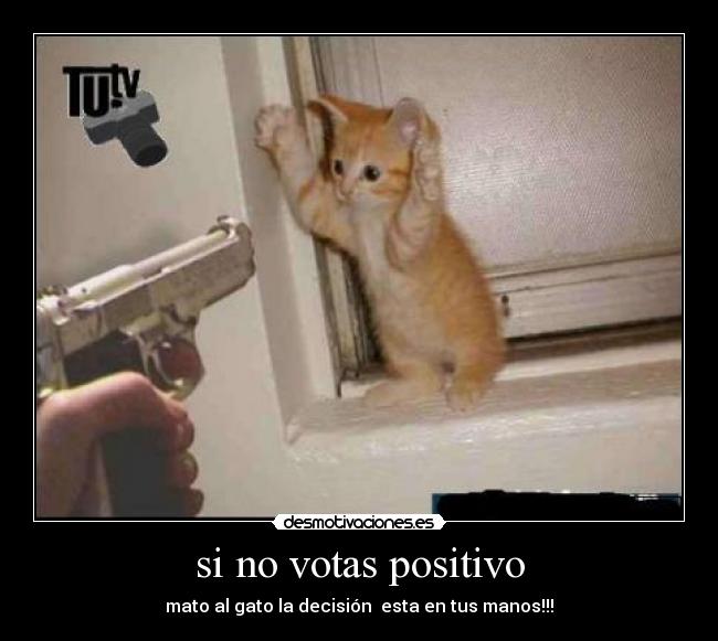 si no votas positivo -