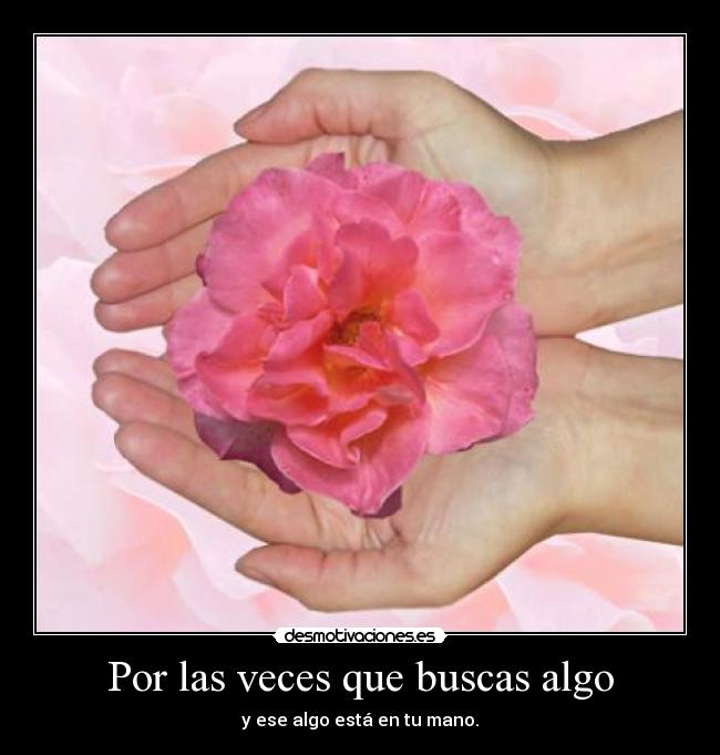 Por las veces que buscas algo - y ese algo está en tu mano.