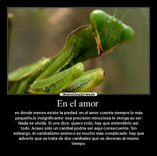 En el amor -