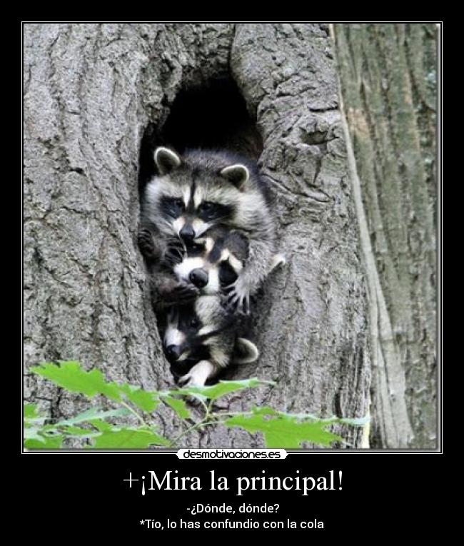 carteles principal desmotivaciones