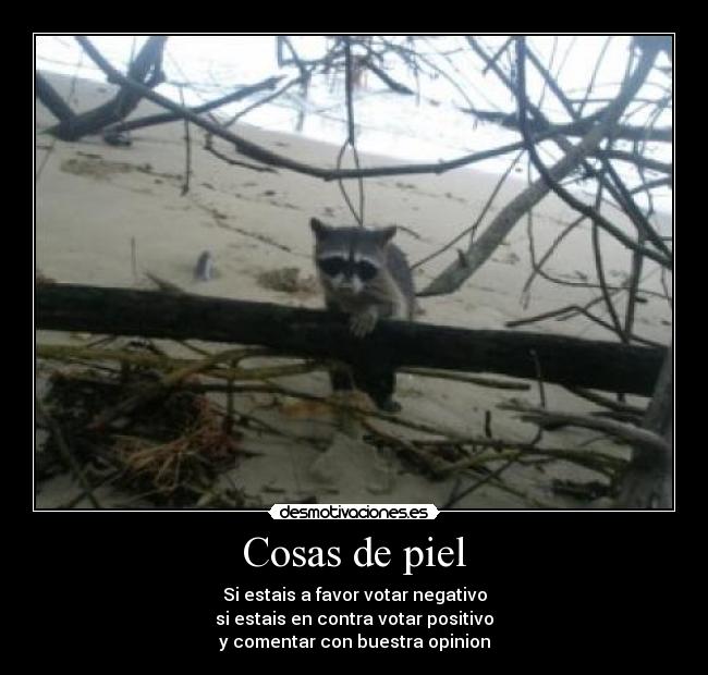 Cosas de piel - Si estais a favor votar negativo
si estais en contra votar positivo
y comentar con buestra opinion