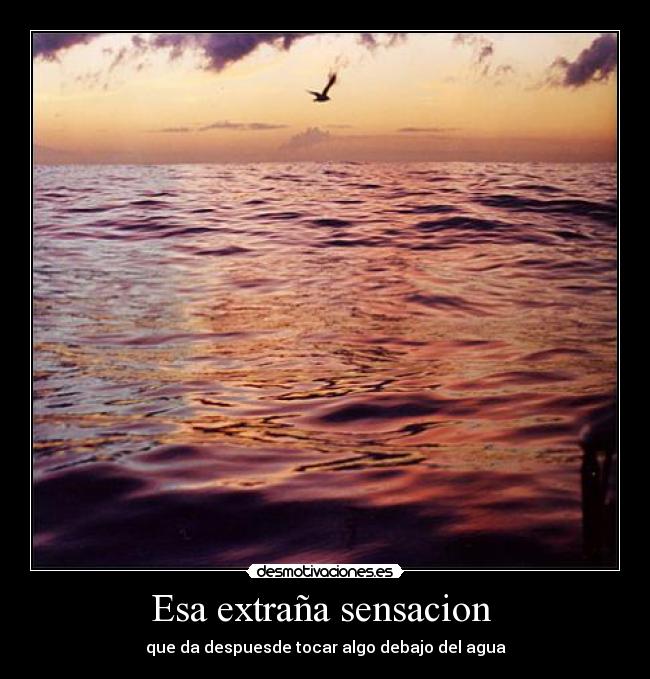 carteles mar desmotivaciones