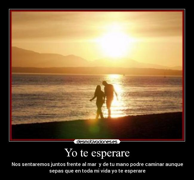Yo te esperare -