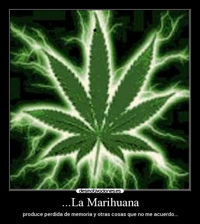 ...La Marihuana -