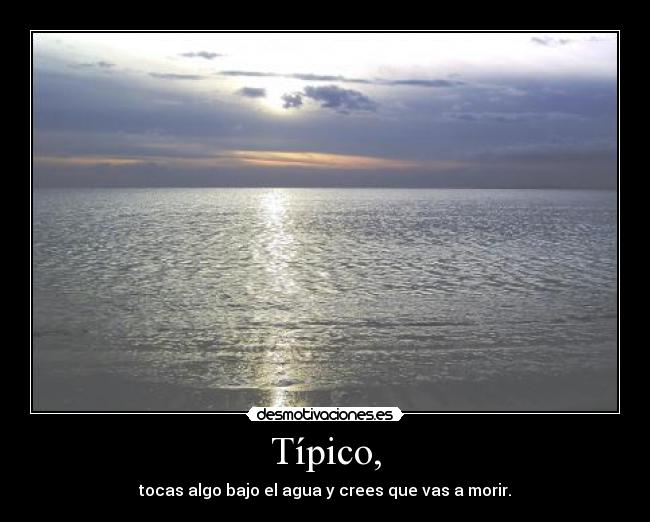 Típico, - tocas algo bajo el agua y crees que vas a morir.