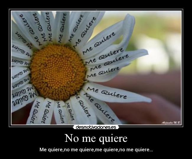 No me quiere - 