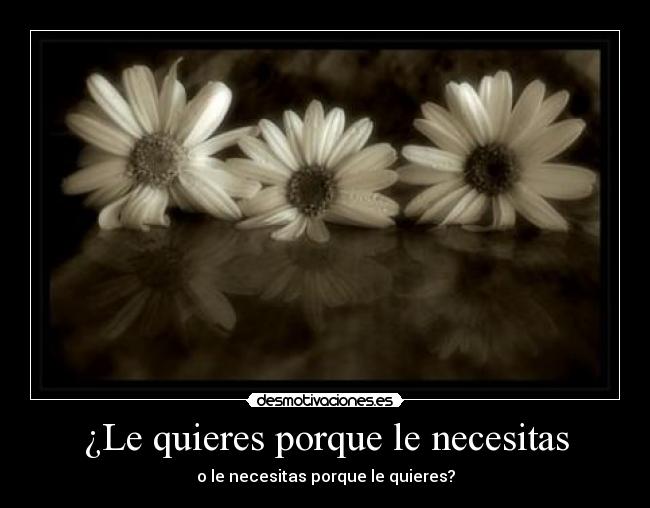 ¿Le quieres porque le necesitas -