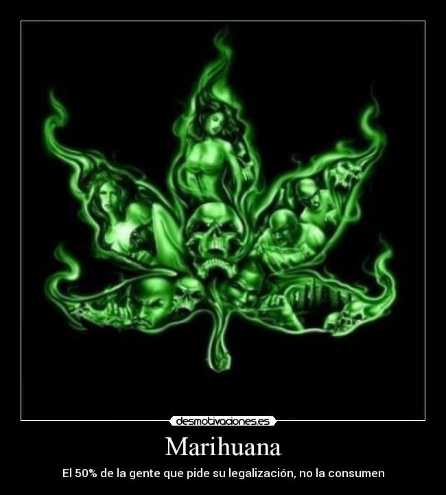Marihuana - El 50% de la gente que pide su legalización, no la consumen