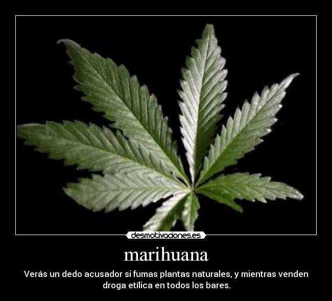 marihuana -