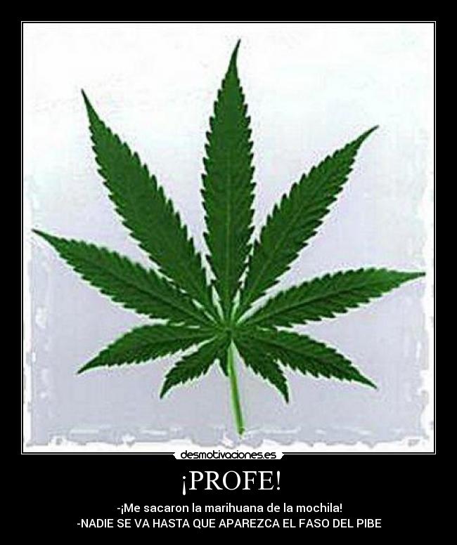 ¡PROFE! - -¡Me sacaron la marihuana de la mochila!
-NADIE SE VA HASTA QUE APAREZCA EL FASO DEL PIBE