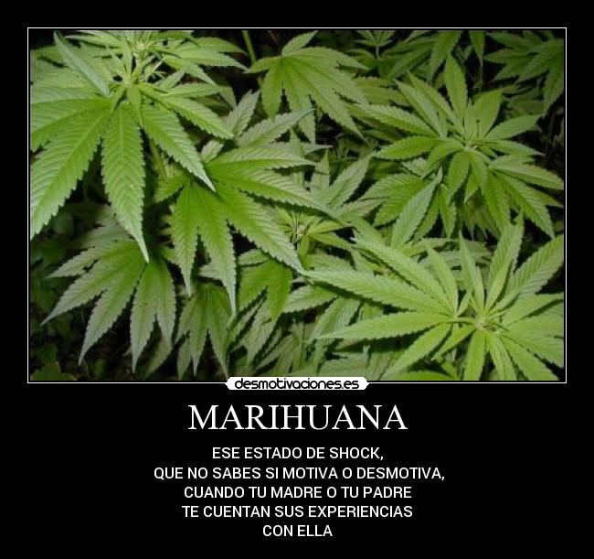 MARIHUANA - ESE ESTADO DE SHOCK,
QUE NO SABES SI MOTIVA O DESMOTIVA,
CUANDO TU MADRE O TU PADRE
TE CUENTAN SUS EXPERIENCIAS
CON ELLA