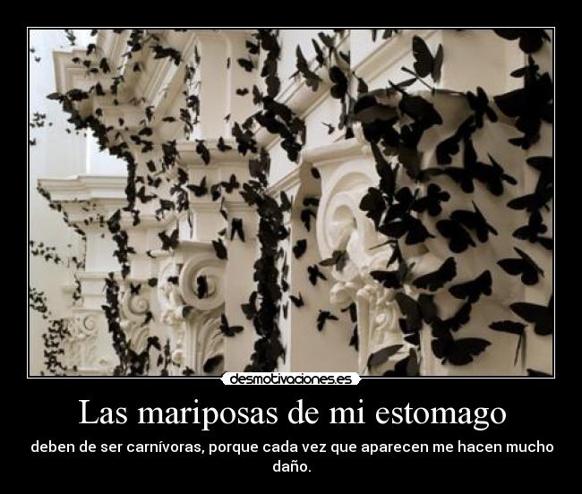 Las mariposas de mi estomago -