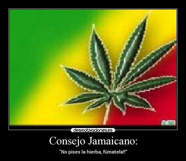 Consejo Jamaicano: -