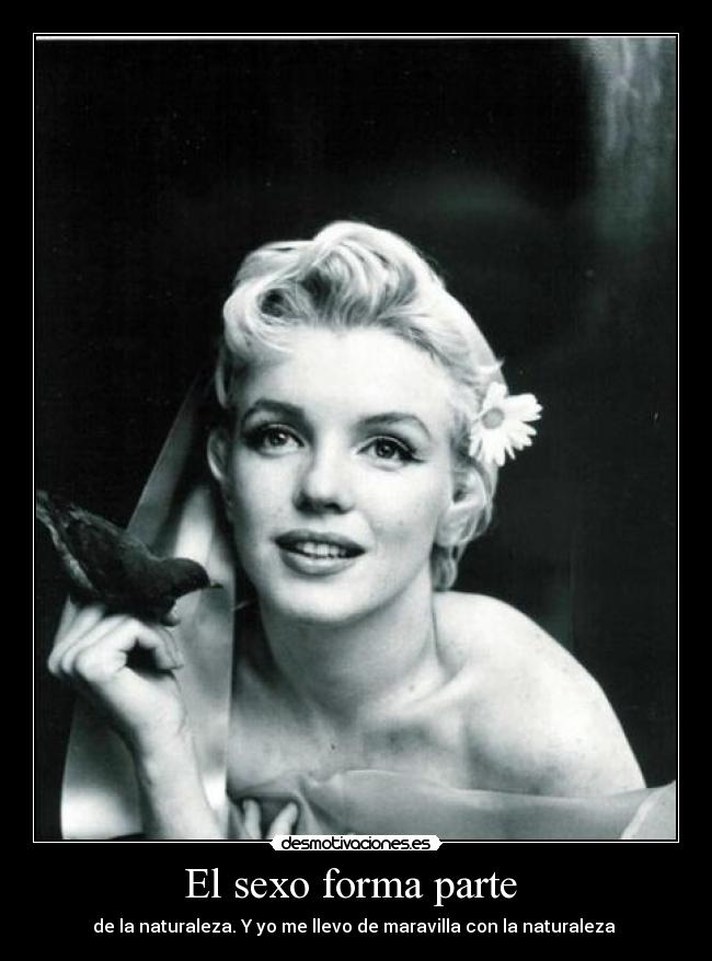 carteles sexo sexo forma parte naturaleza desmotivaciones