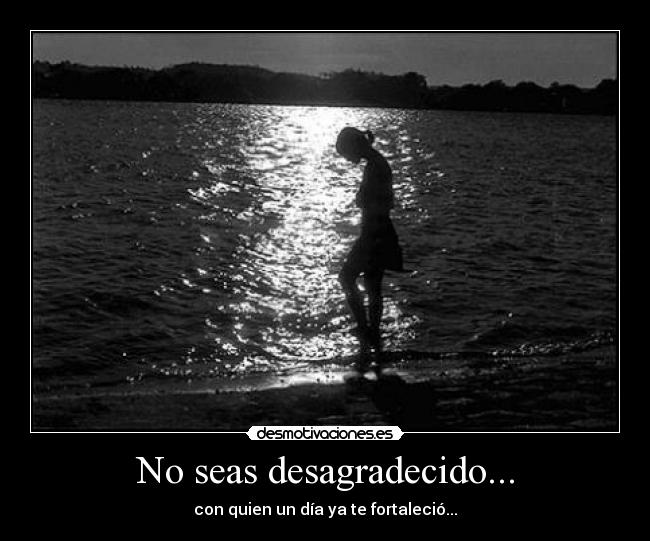 No seas desagradecido... - 