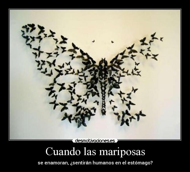 Cuando las mariposas -