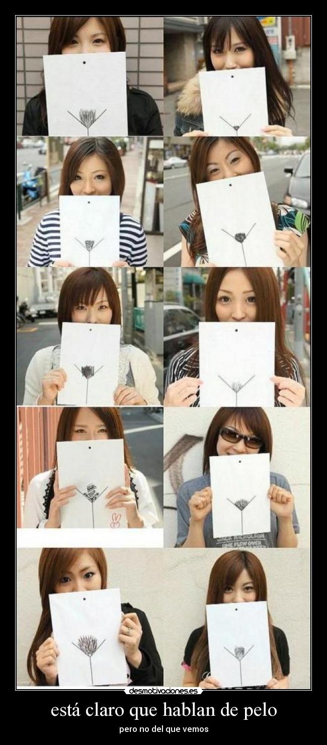 está claro que hablan de pelo - pero no del que vemos