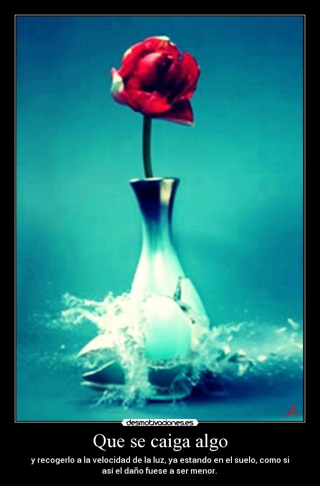 Que se caiga algo - y recogerlo a la velocidad de la luz, ya estando en el suelo, como si
así el daño fuese a ser menor.