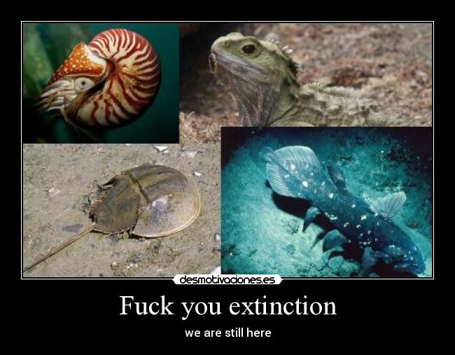 Fuck you extinction - we are still here