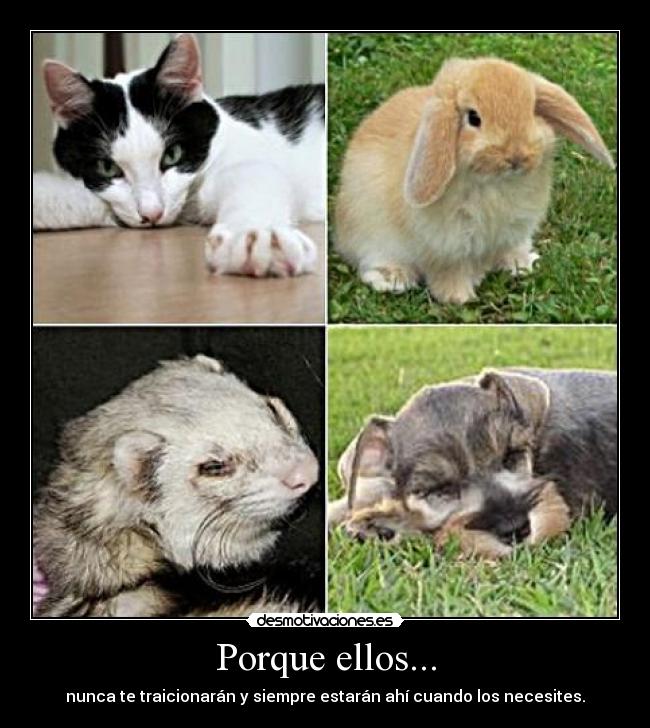 Porque ellos... - 