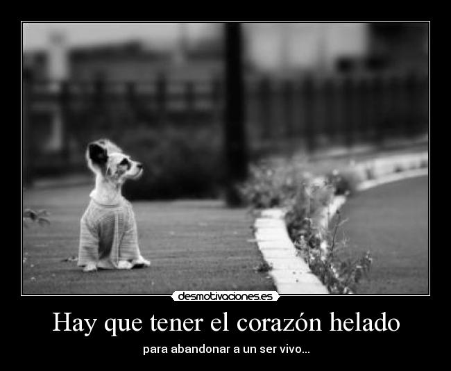 Hay que tener el corazón helado -