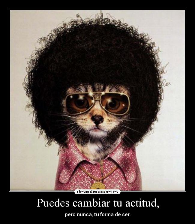 carteles cambiar desmotivaciones