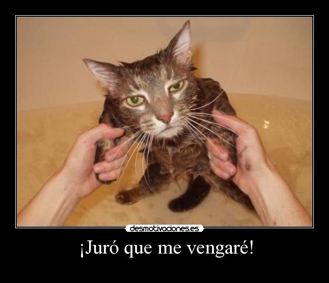 ¡Juró que me vengaré! - 