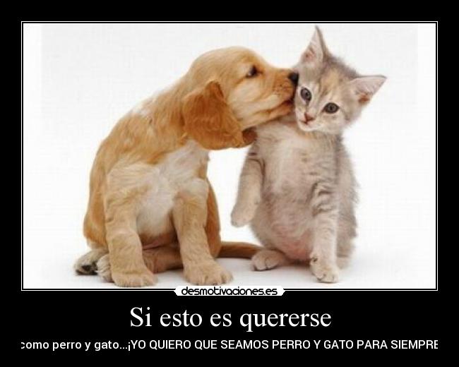 Si esto es quererse - 